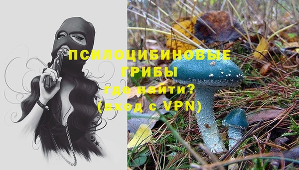 spice Абаза