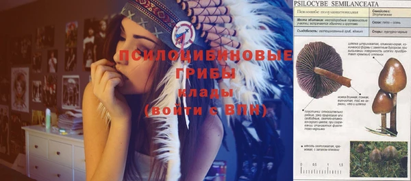 тгк Алексеевка